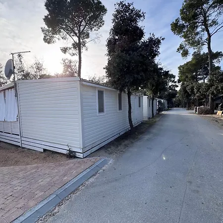 Mobile Nelly 787 * Biograd Na Moru