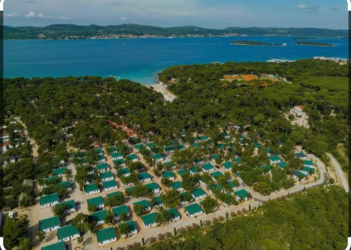 Mobile Nelly 787 비오그라드나모루