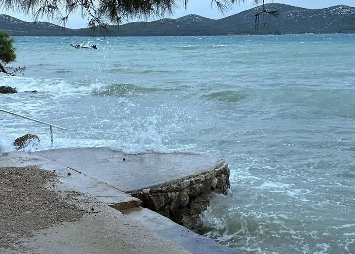 Mobile Nelly 787 캠프장 *