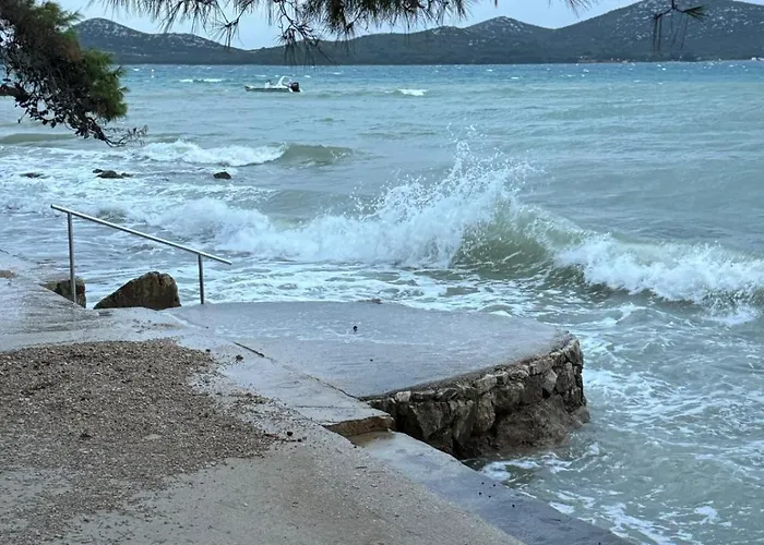 캠프장 Mobile Nelly 787 *