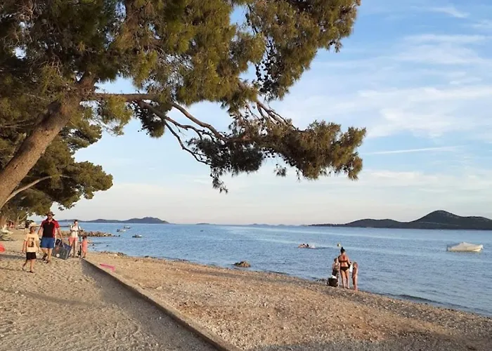 캠프장 Mobile Nelly 787 *