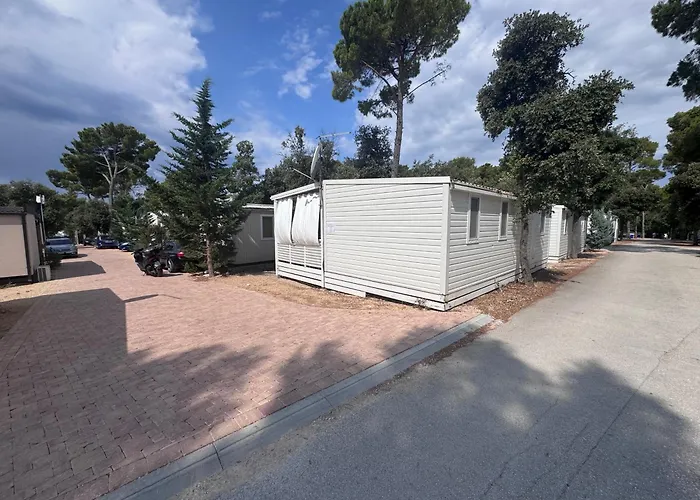 Mobile Nelly 787 캠프장 *