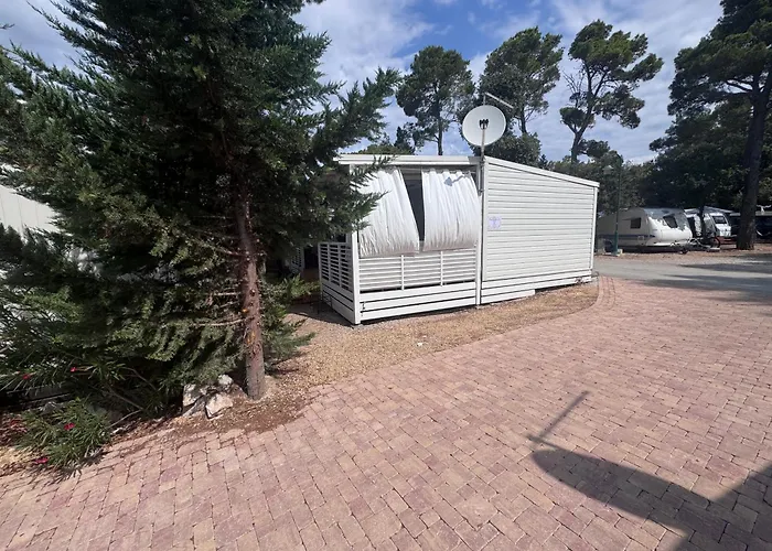 Mobile Nelly 787 캠프장 *