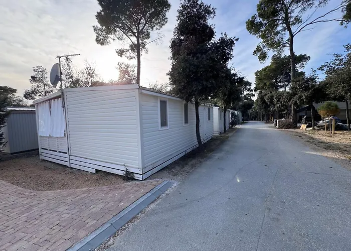 Mobile Nelly 787 * Biograd Na Moru